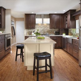 contemporary_kitchen_cabinets