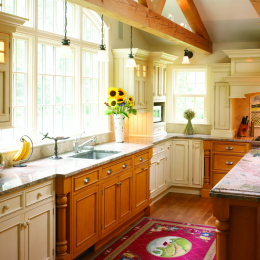 C10463_Holland_Main_sm_hi