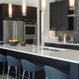 Cottonwood door style in HDF finished in Black Bean