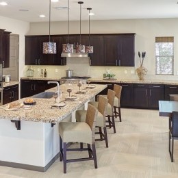 wolf-designer-espresso-stain