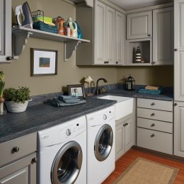 wolf-designer-stone-paint