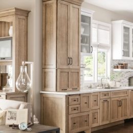 2014_Set5_ZO_EC_MID001-387x556